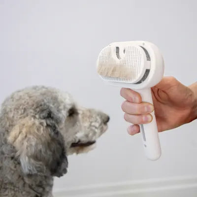 Petelicious™- spazzola a vapore per animali domestici